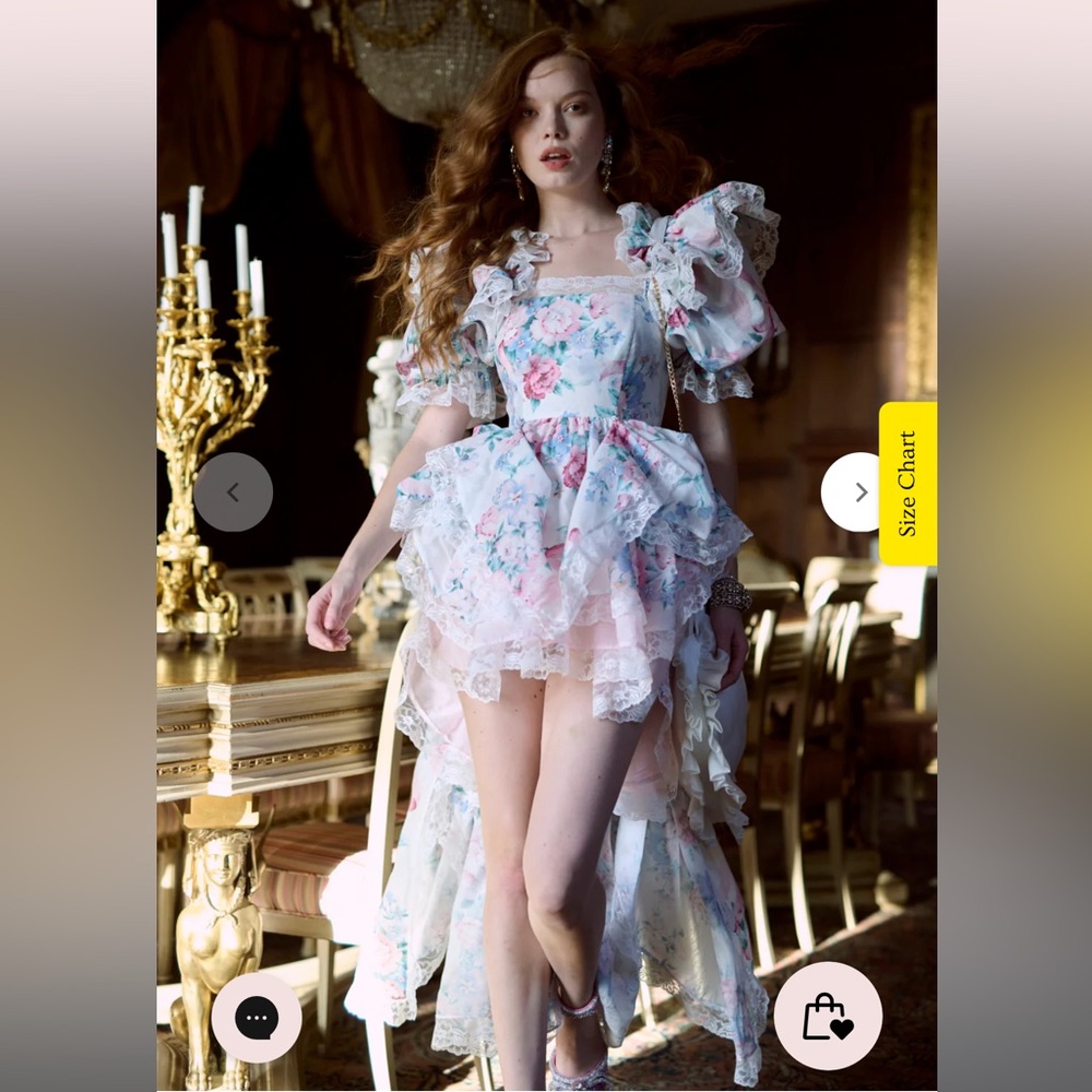 The Cotswolds Duchess Sugarfrill Dress size 1XL NWT